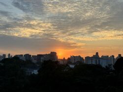 Tanglin Halt Road (D3), Condominium #502096641